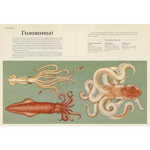 Книга "Анімаліум" - Брум Дженни Превью 3